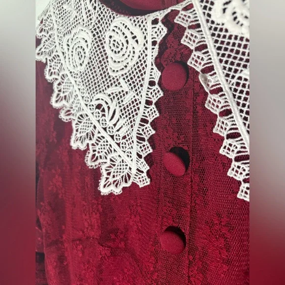 Jawbreaker Dress - Picture 5 of 9